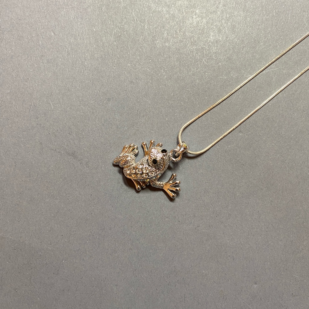 Silver Rhinestone Frog Necklace
